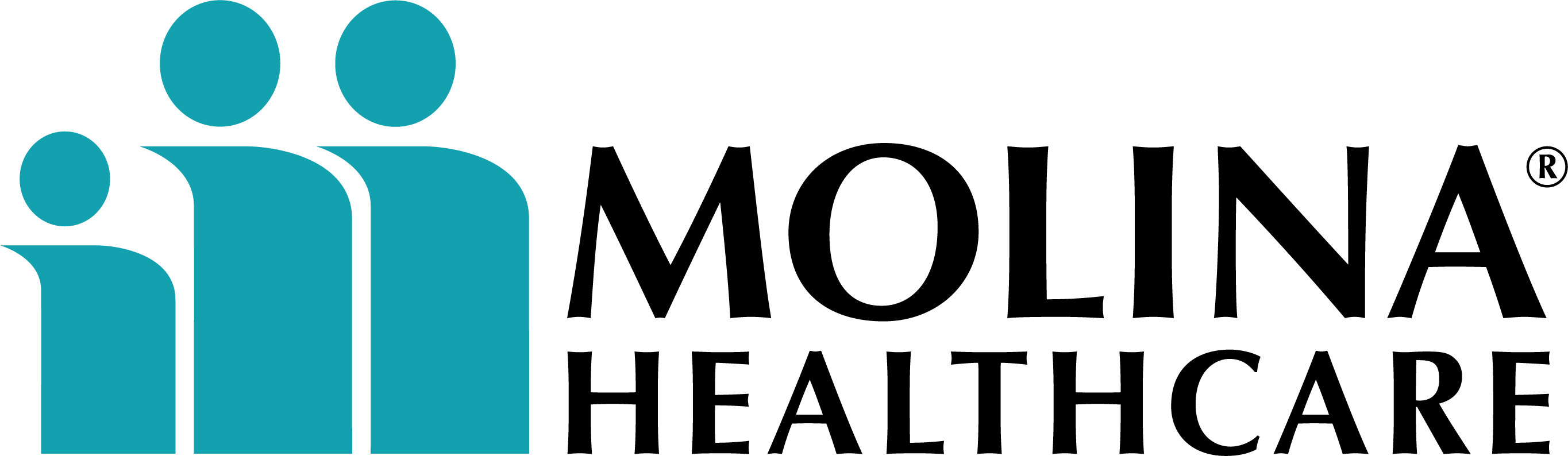 High Def Molina Logo